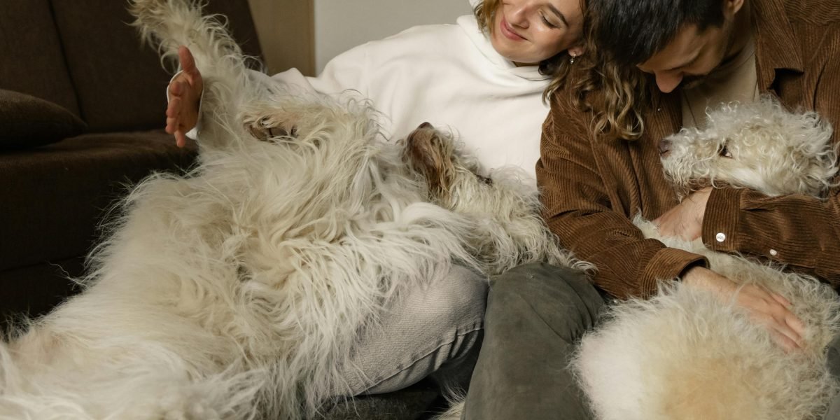 A man finds comfort and connection with his dog on a sofa, illustrating how an ESA can combat loneliness.
