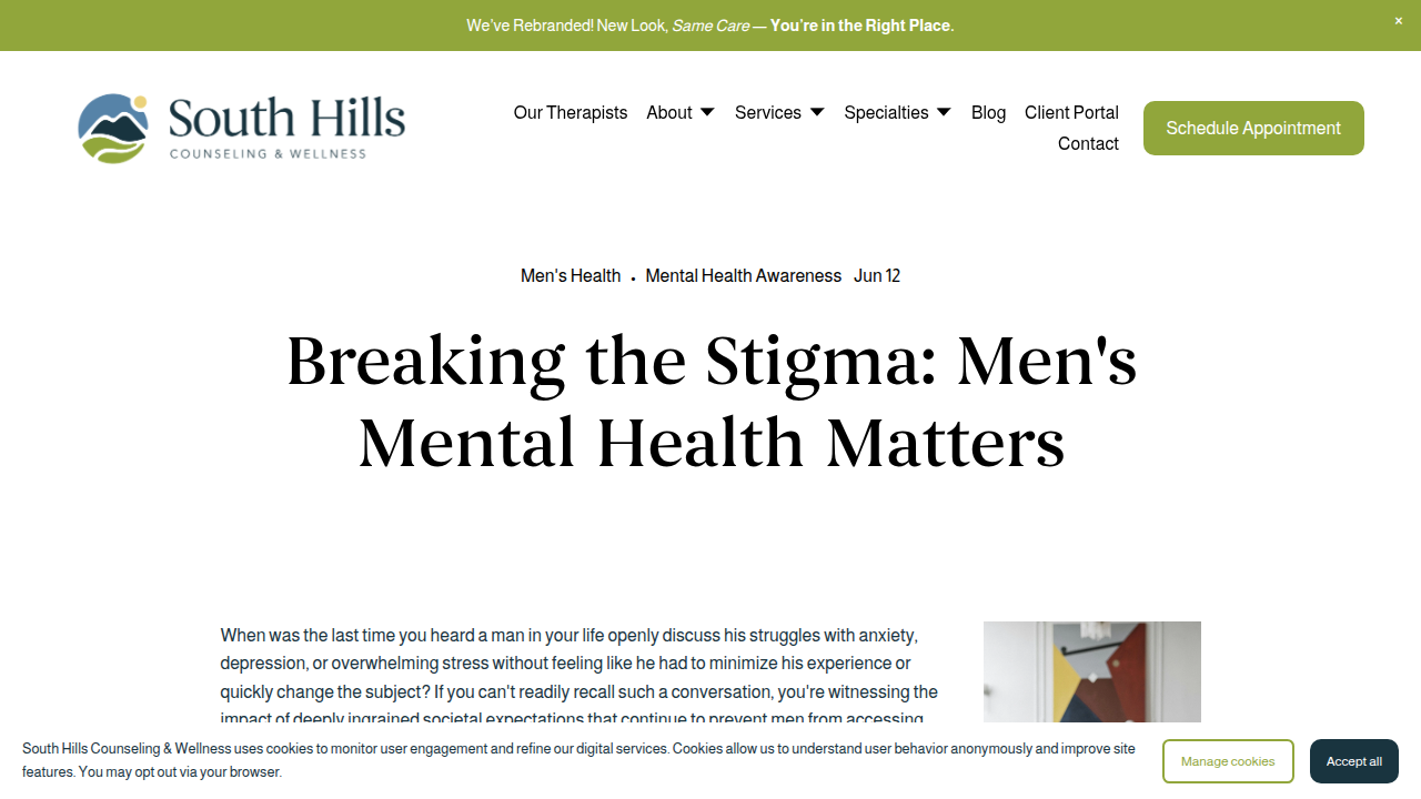 Screenshot of South Hills Counseling's blog post addressing the stigma around men's mental health.