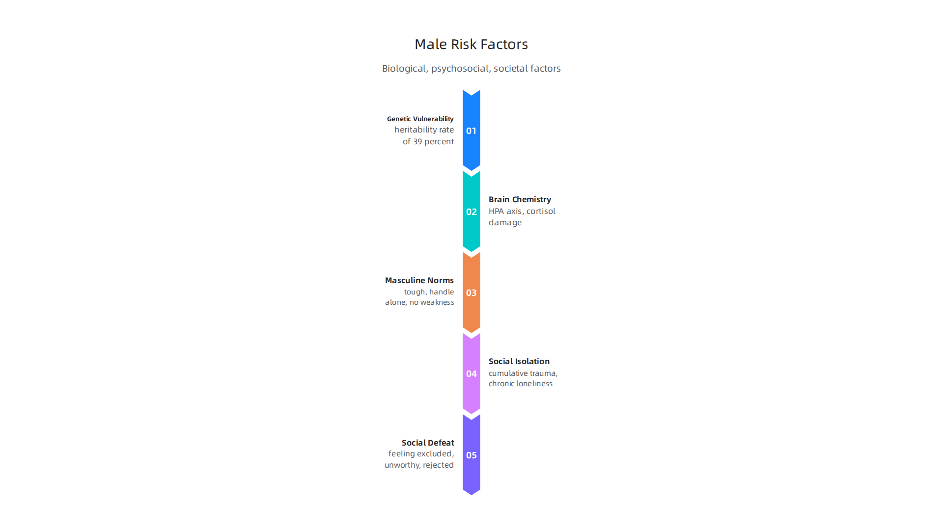 A breakdown of the biological, psychosocial, and societal factors that contribute to psychotic depression in men.
