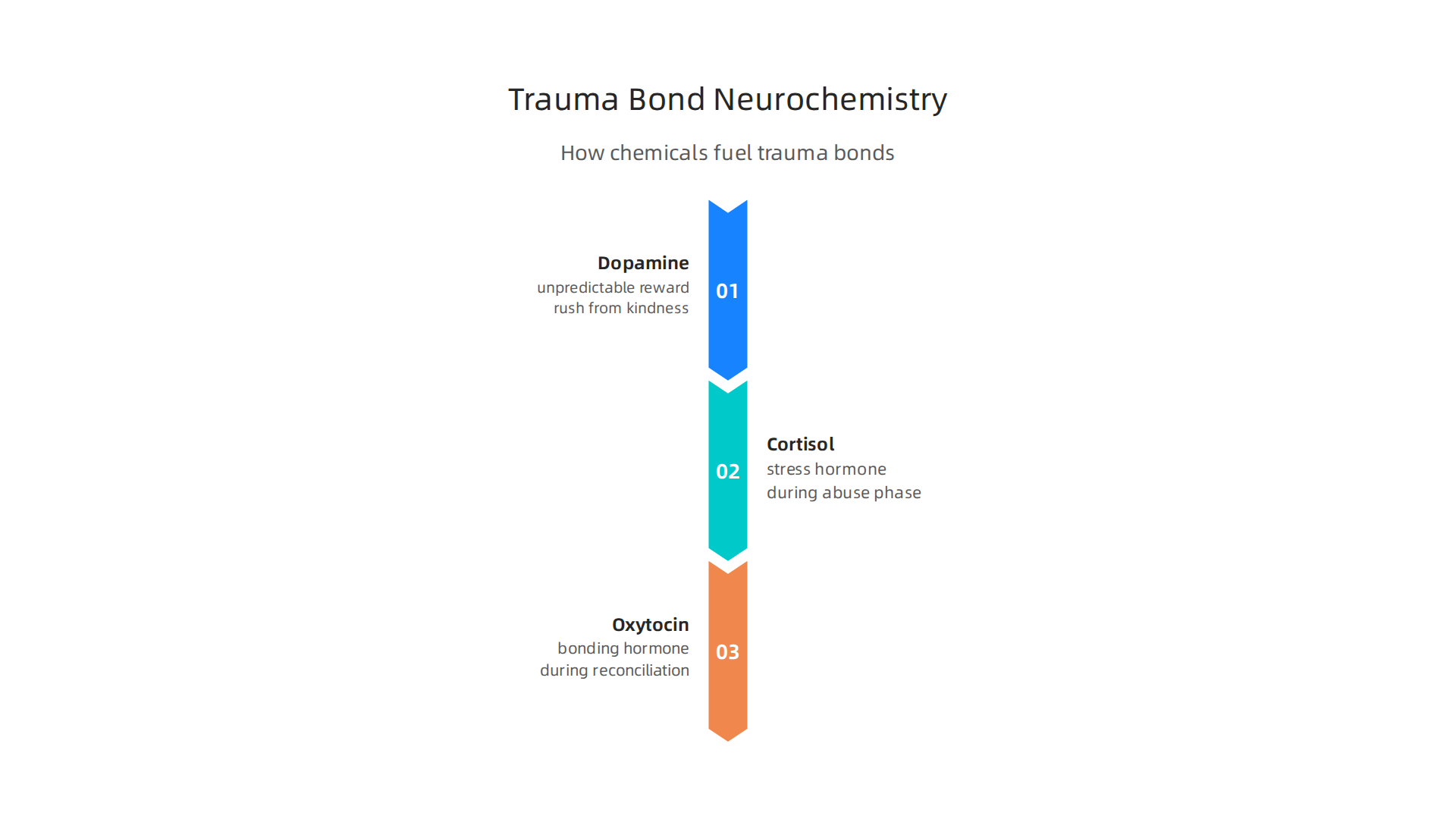 Visual explanation of how dopamine, cortisol, and oxytocin contribute to the neurochemical addiction of trauma bonds.
